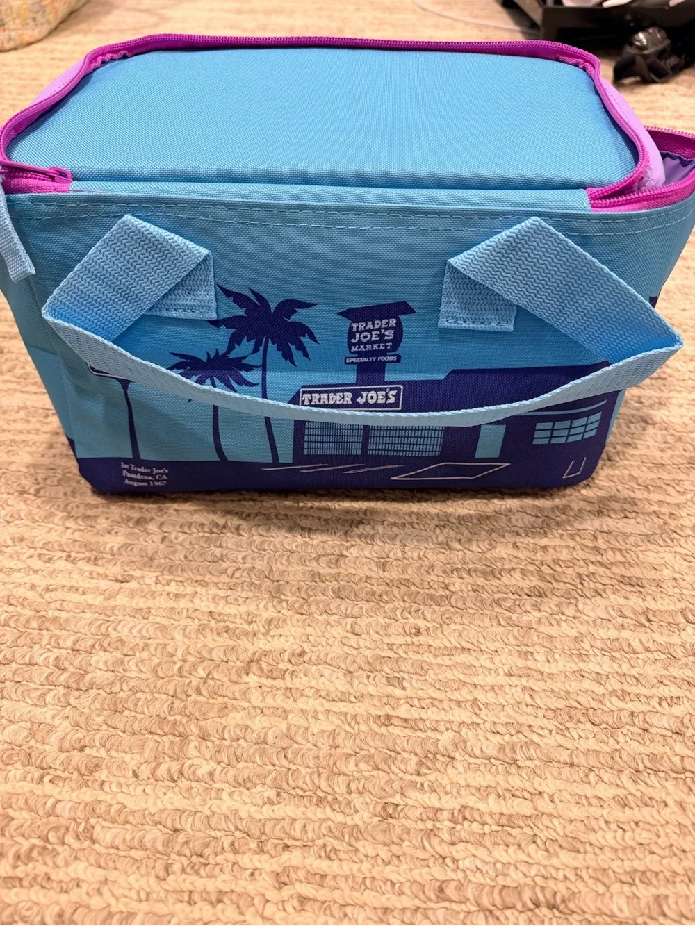 Trader Joe's Mini Cooler Bag